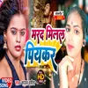 About Mard Milal Piyakr Bhojpuri Song