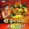 About Shri Vrindavan Ki Rajman Ko Song