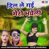 About Dil Le Gai Mero Bhayeli Song