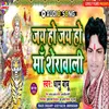 Jay Ho Jay Ho Maa  Sherawali Bhakti Song