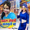 About Chadhal Javani Satavale Ba Bhojpuri Song