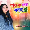 About Gail Ba Bahara Bhatar Ho Bhojpuri Song