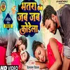 About Bhatar Jab Jab Karela Song