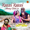 About Razi Razi Bhang Ghot Ja Song