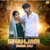 About Shahjadi Dhoke Aali Song
