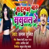 About Kaisan Baru Sasural Me Bhojpuri Song