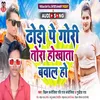 About Dhodi Par Gori Tora Hokhata Bawal Ho Bhojpuri Song