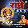 About Radhe Bemisaal Song