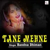 About Tane Mehne Song