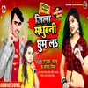 About Jila Madhubani Ghum La Song