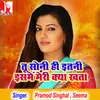 About Tu Soni Hi Itni Isme Meri Kya Khata Song