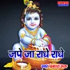 About Jape Ja Radhe Radhe Song