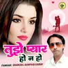 About Tujhe Pyar Ho Na Ho Hindi Song Song