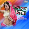 About Dhola Chugal Chiraiya Hindi Song Song
