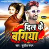 About Dil Ke Bagiya Bhojpuri Song