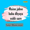 About Maine Jabse Baba Dhyaya Sukh Sare Song