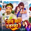 About Jaan Mare Shirt Ujarka Re Bhojpuri Song