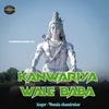 About Kanwariya Wale Baba Song