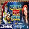 About Apne Radha Ko Shyam Bhul Nhi Jana Song