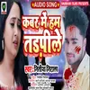 About Kabar Mein Hum Tadpile Song