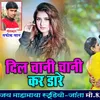 About Dil Chani Jhani Song