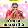About Dhokha De Ke Pardesi N Hindi Song
