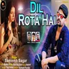 About Dil Rota Hai Song