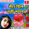 About Mera Dil Nhi Lagta Song