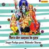 About Mera Shiv Sanyasi Ho Gaya Song