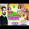 About Dulha Ke Sali Jindabaad Song