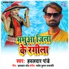 About Bhabhua Jila  Ke Rangila Song