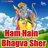 About Ham Hain Bhagva Sher Song