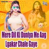 About Mere Dil Ki Duniya Me Aag Lgakar Chale Gaye Song