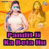 About Pandit Ji Ka Beta Hu Song