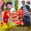 About Jangal Main Mangal Bhojpuri Song