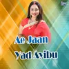 Ae Jaan Yad Ayibu