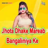 About Jhota Dhake Mareab Bangaliniya Ke Song