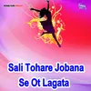 About Sali Tohare Jobana Se Ot Lagata Song
