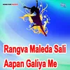 About Rangva Maleda Sali Aapan Galiya Me Song