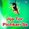 About Jija Tor Pichkari Se Song