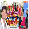 About Kailu Gorkav Najariya Ghayal Se Lokgeet Song