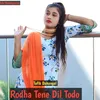 Rodha Tene Dil Todo