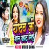 About Yadav Ji Gal Kat Liye Song