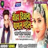 About Tohar Diwaana Pagal Bhail Song