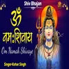 Om Namah Shivay