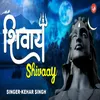 Shivaay