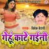 About Gehoon Kaate Gaini Bhojpuri Song