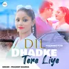 About Dil Dhadke Tere Liye Hindi Song Song
