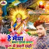 He Maiya Kawan Gunwa Kamal Ful Me Pawale Chhao Saraswati Puja Song