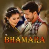 About Bhamara Song